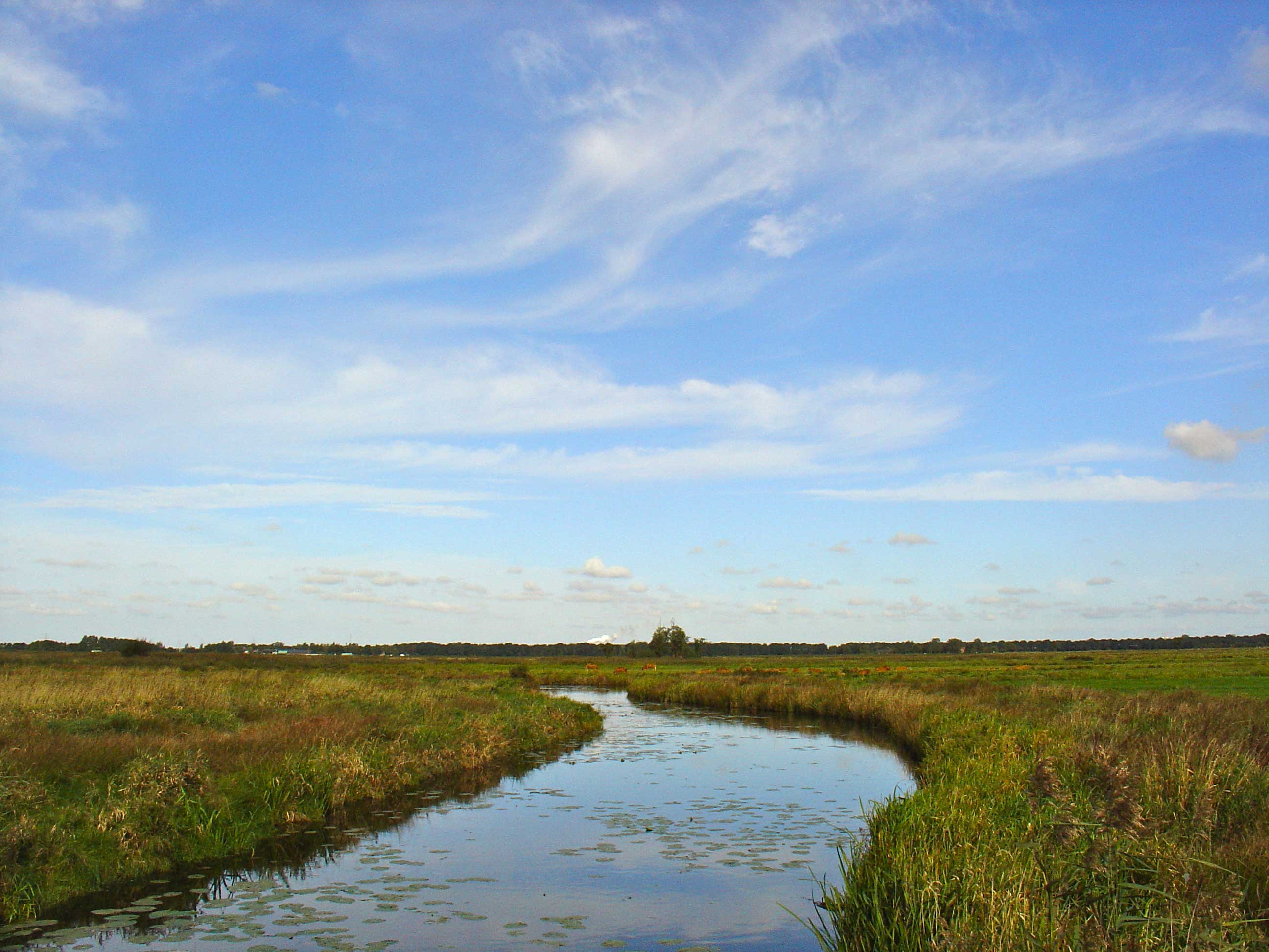 Peizer- en Eeldermaden (natuurgebied)