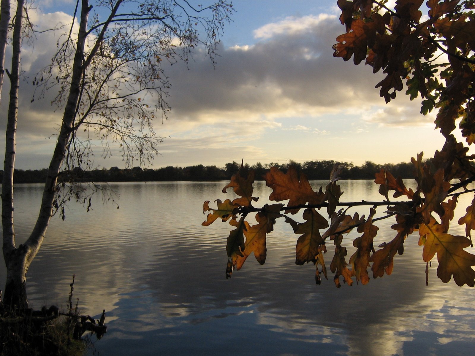 Vogelkijkscherm Piccardthofplas
