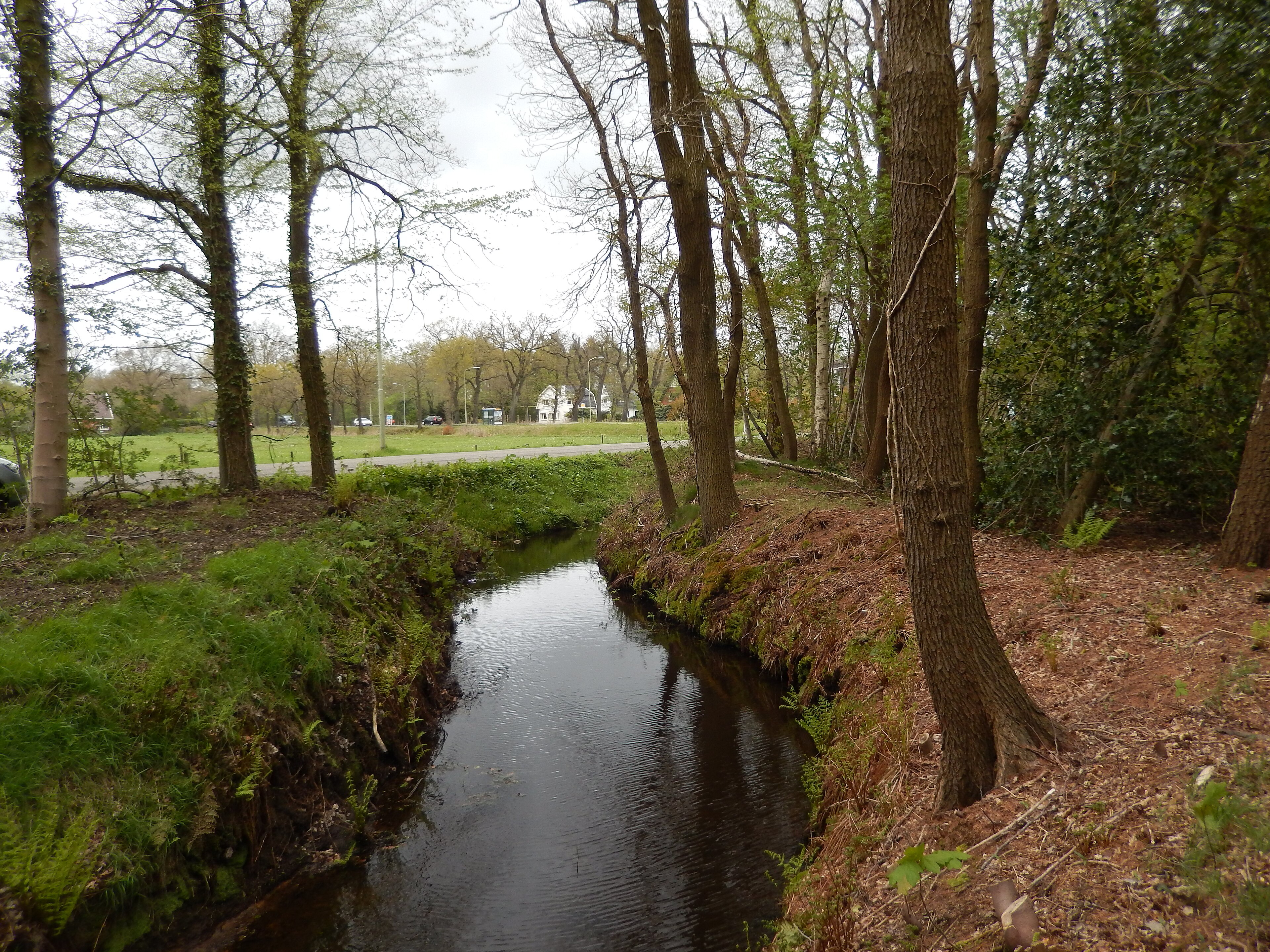 Leijenloop