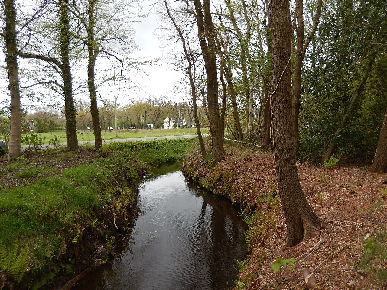Leijenloop