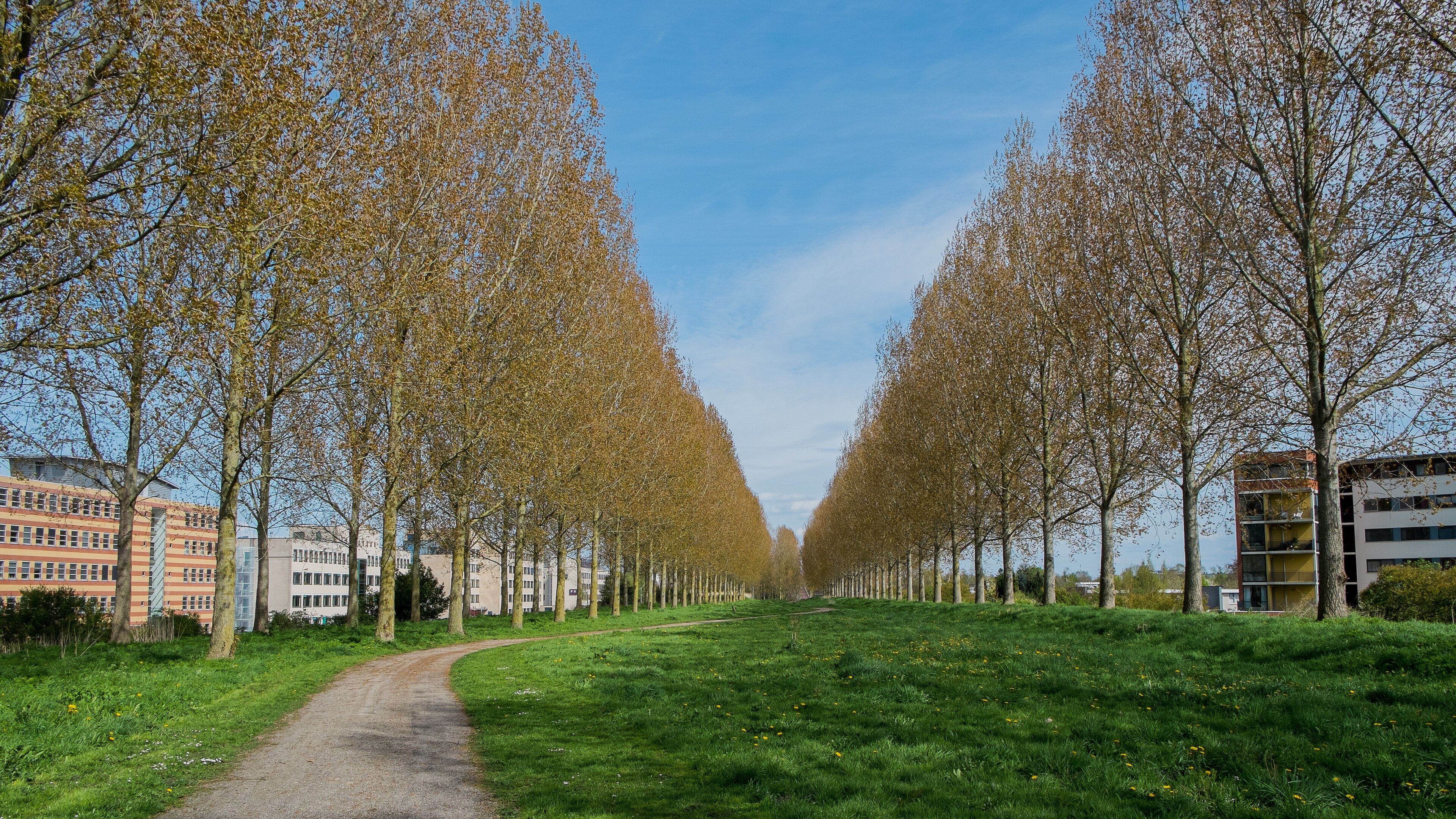 Hoornse Schans