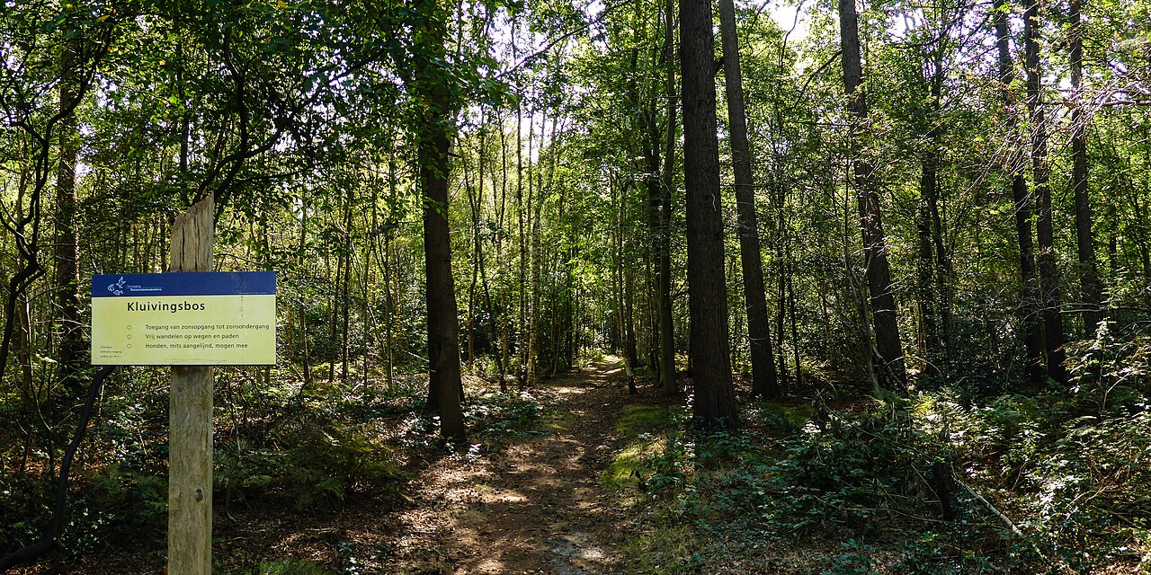 Kluivingsbos