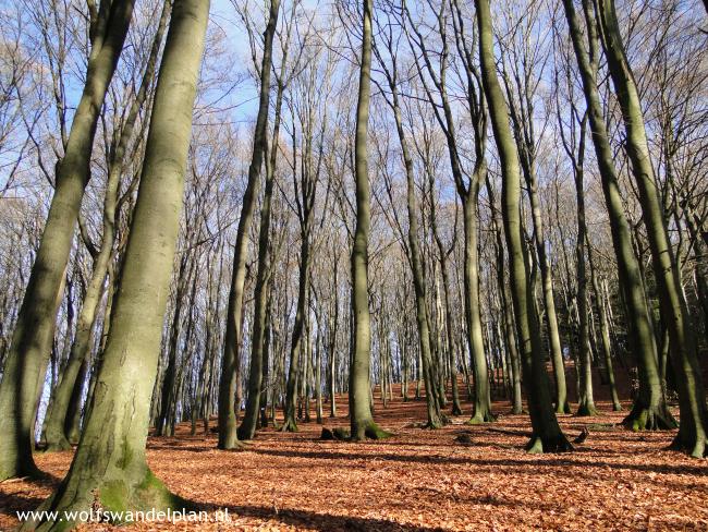 Trage Tocht Leuvenum