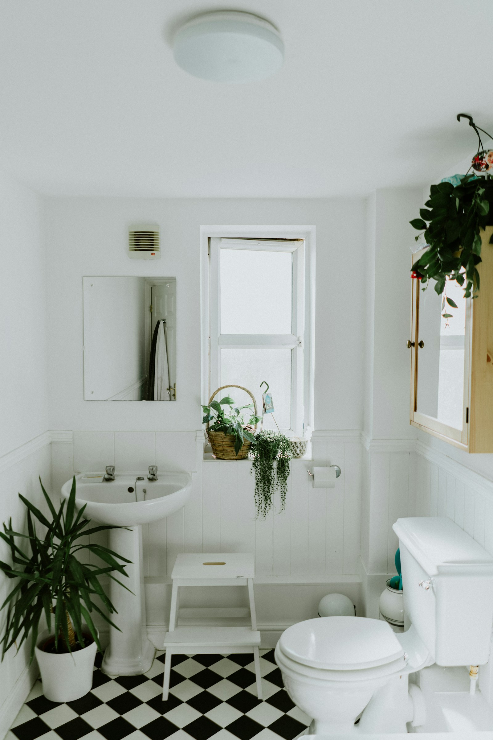 Tiny House Apeldoorn — Photo 7